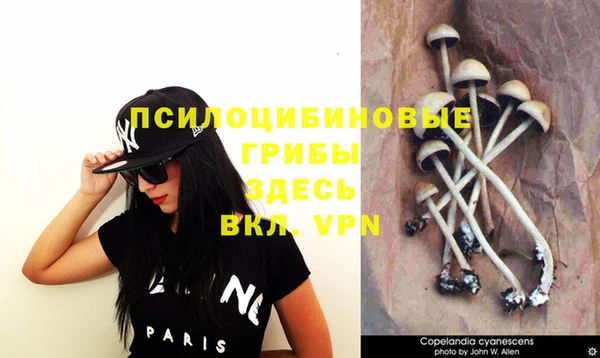 МДПВ Ростов