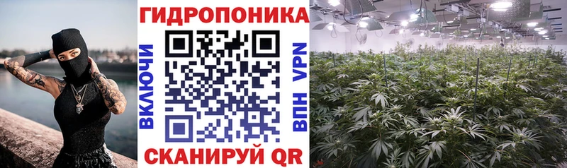 Канабис гибрид  Купить где  Шлиссельбург 